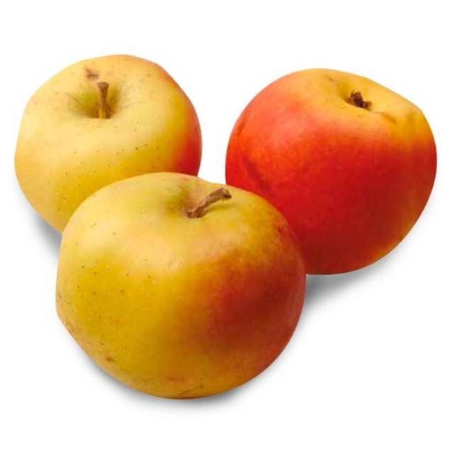 Manzana de Colada