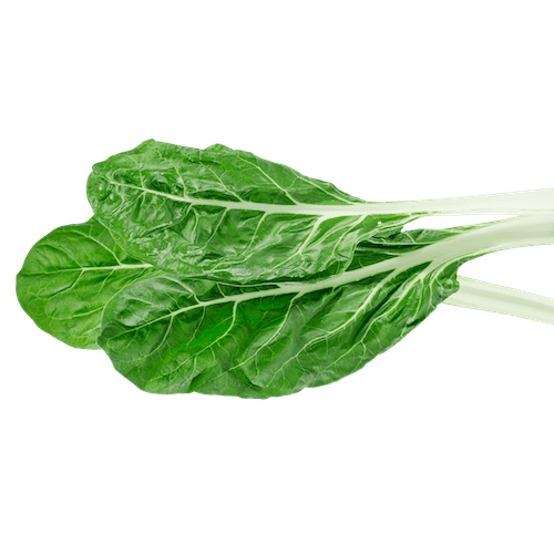 Acelga