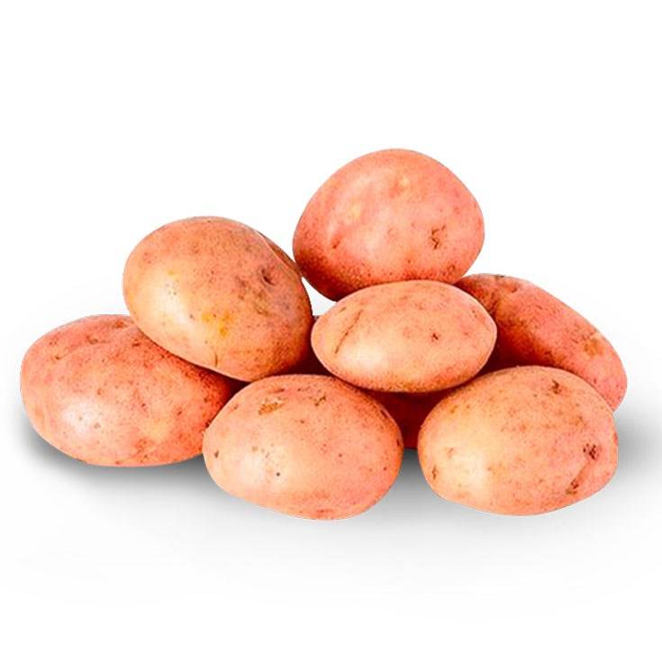 Papa Chaucha