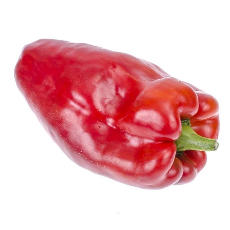 Pimiento