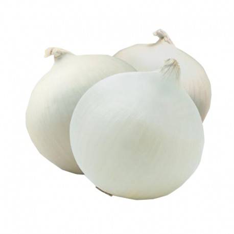 Cebolla