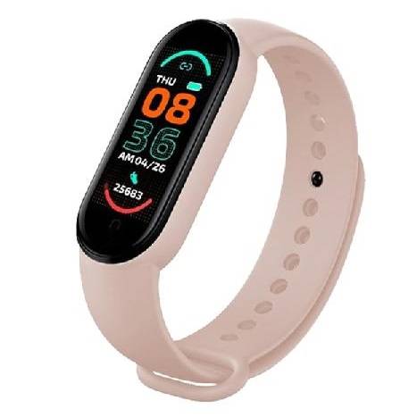 SmartBand SWCH 4601