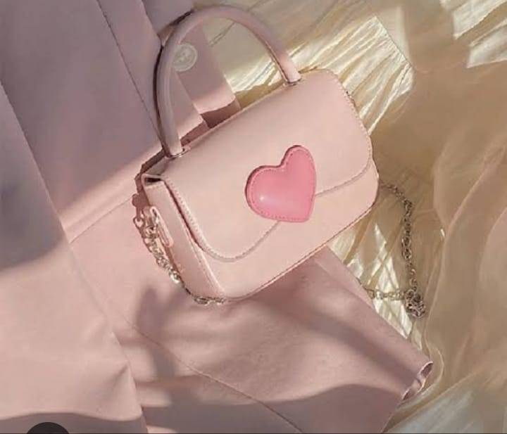 Ariana bag niche