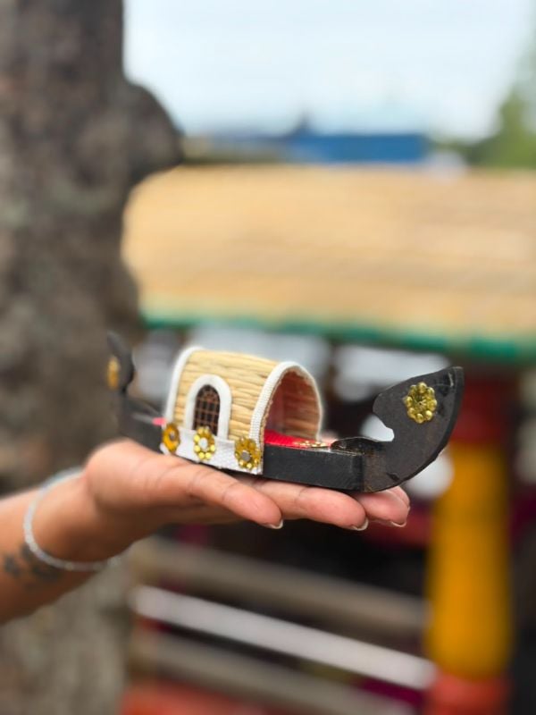 House Boat Extra Small Paya
