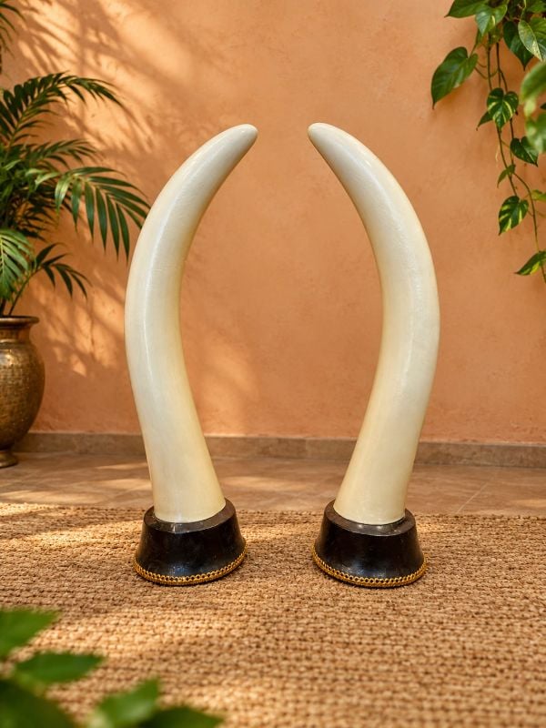 2 feet Fiber Aanakomb (Elephant tusk)