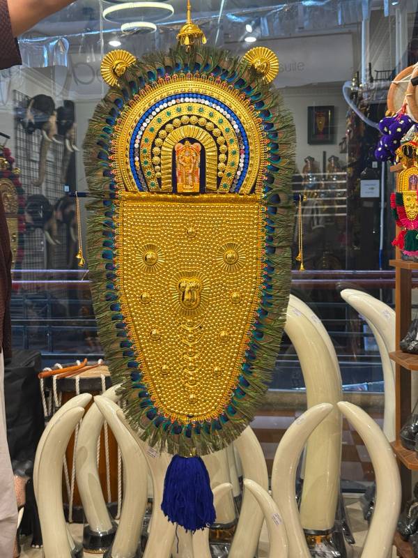 3,9 feet Peacock with thidambu netipattam