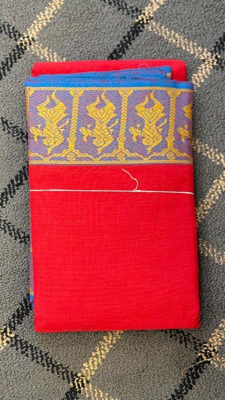 Dance Practice Saree with Thread work model 2