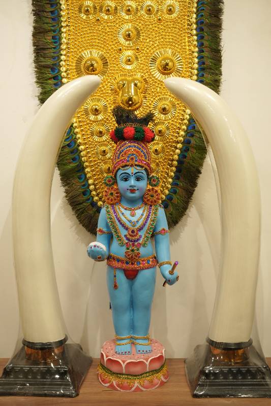 Blue Usha pooja krishnan & Aanakombu Combo (Elephant Tusk)