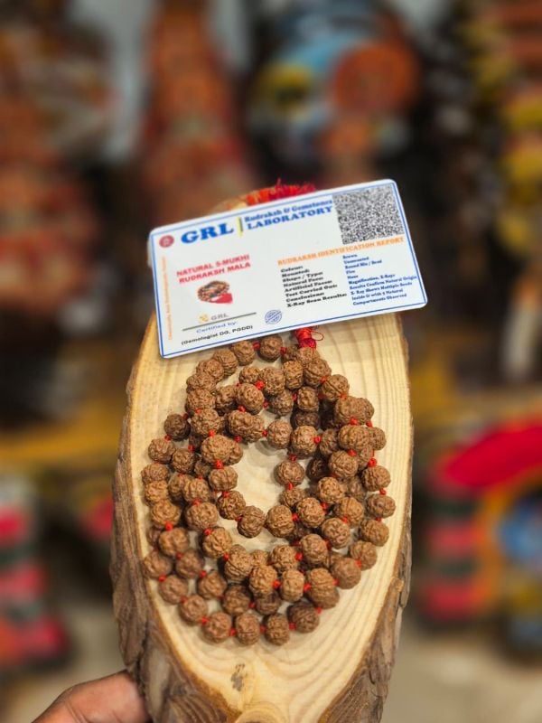 8mm Rudraksha mala