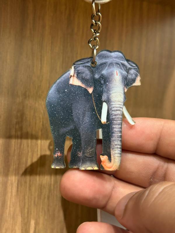 Pambadi Rajan Elephant keychain
