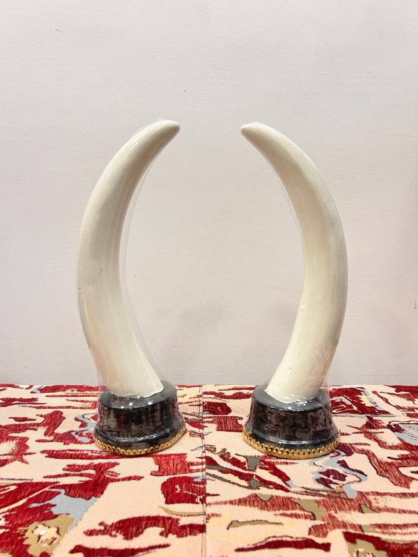 15 inch Fiber Aanakomb (Elephant tusk)
