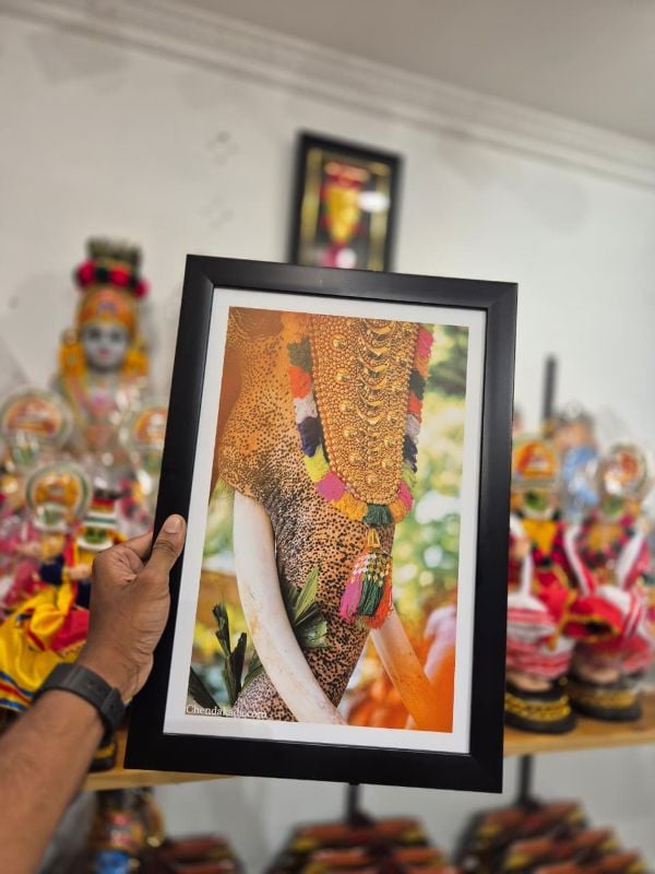 Elephant with netipattam Photo Frame 16 x 11