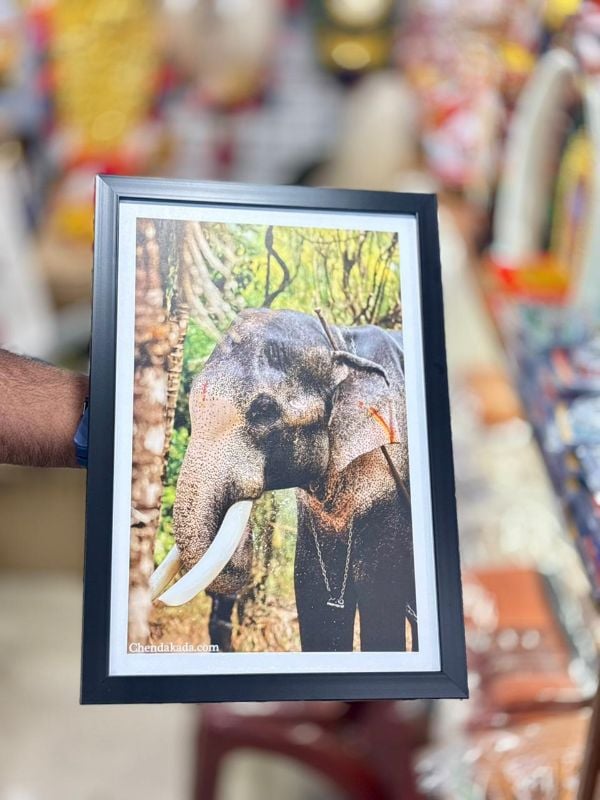 Thechikottukavu Ramachandran Photo frame Model 1