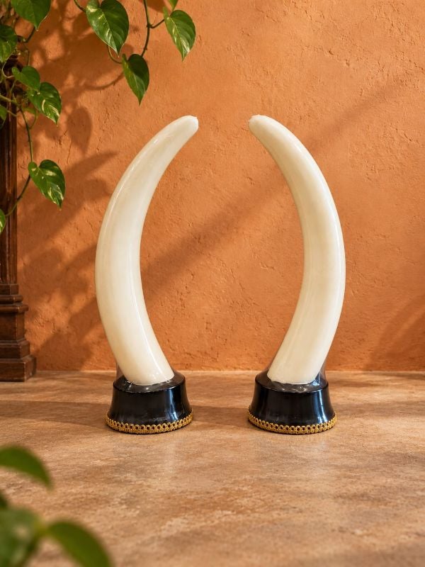 15 inch Fiber Aanakomb (Elephant tusk)