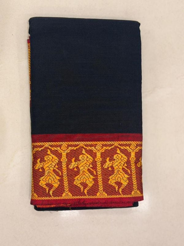 Dance Practice Saree with Thread work model 5