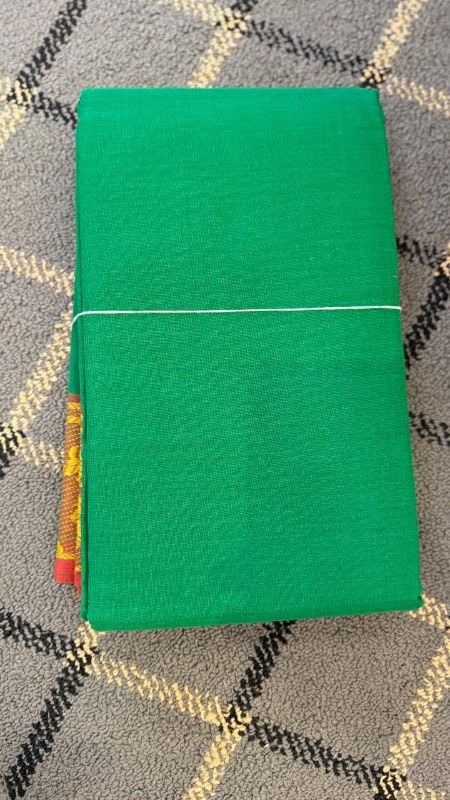 Dance Practice Saree with Thread work model 3