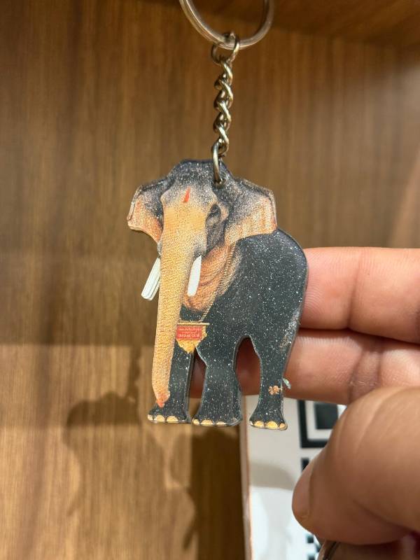 Thechikottukavu Ramachandran Elephant keychain