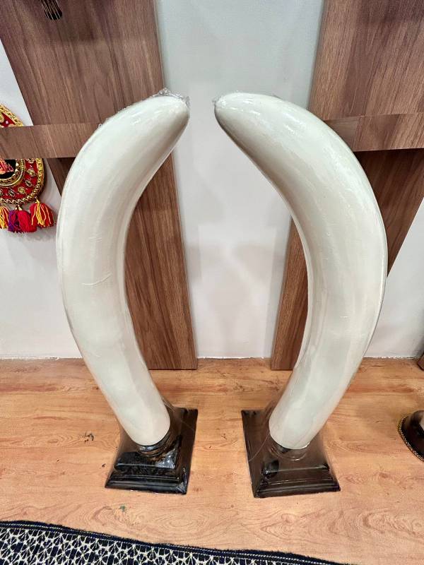 3 feet Fiber Aanakomb (Elephant tusk)