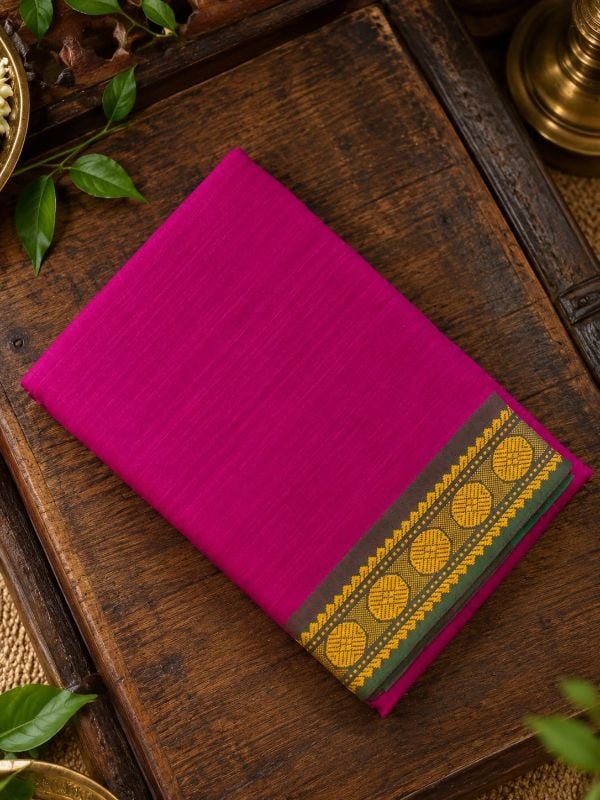 Dance Practice Saree with Thread work model 5