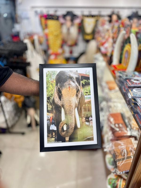 Thechikottukavu Ramachandran Photo frame Model 3