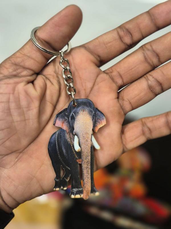 Mangalamkunnu Ayyappan Elephant keychain