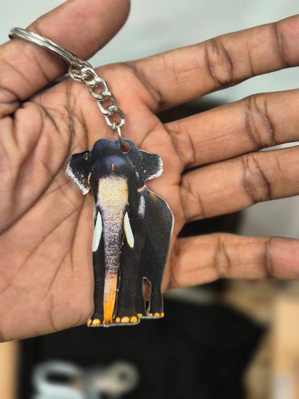 Mangalamkunnu Karnan Elephant keychain