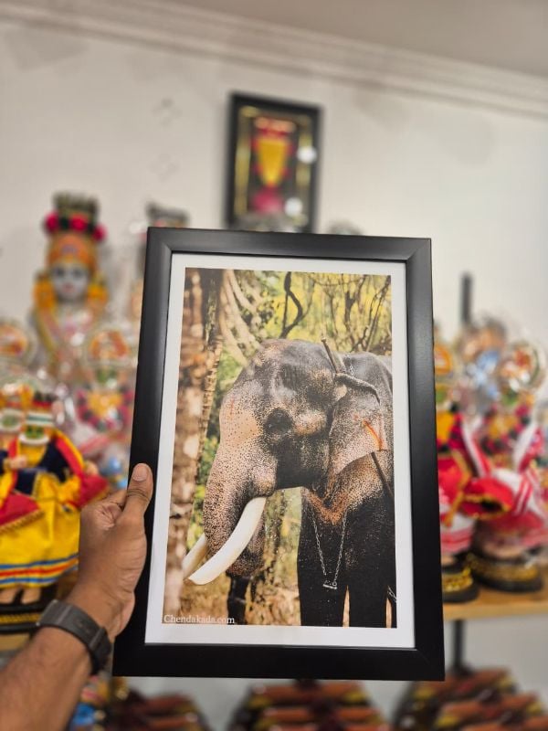 Thechikottukavu Ramachandran Photo Frame Model 2