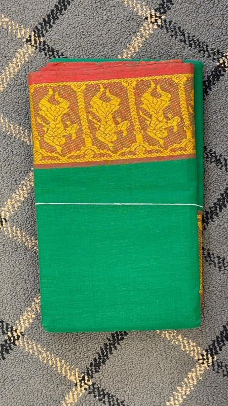Dance Practice Saree with Thread work model 3