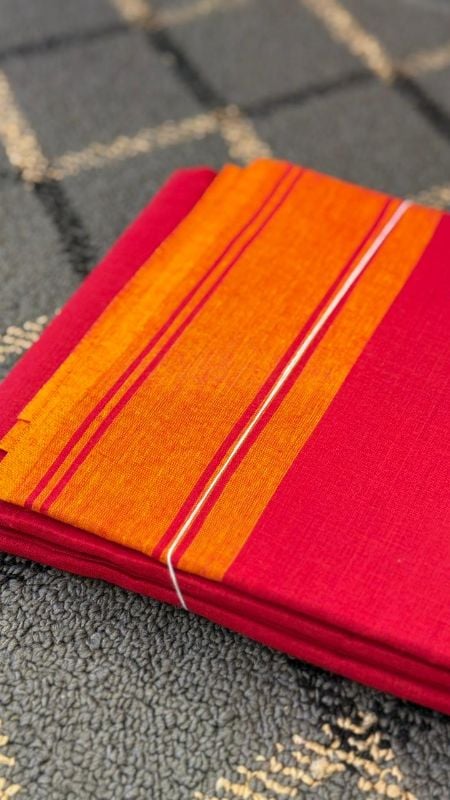 Dance Practice Saree Model 3