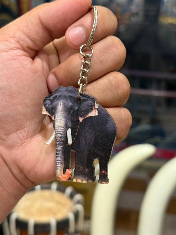 Pambadi Rajan Elephant keychain