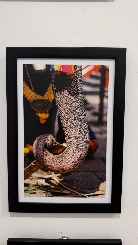 Thumbi Kai Photo Frame 16 x 11