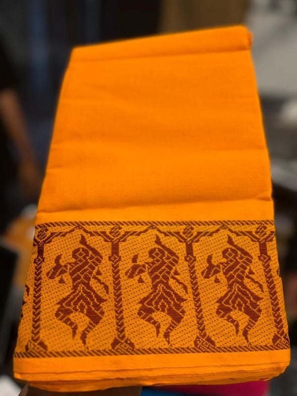 Dance Practice Saree with Thread work model 4