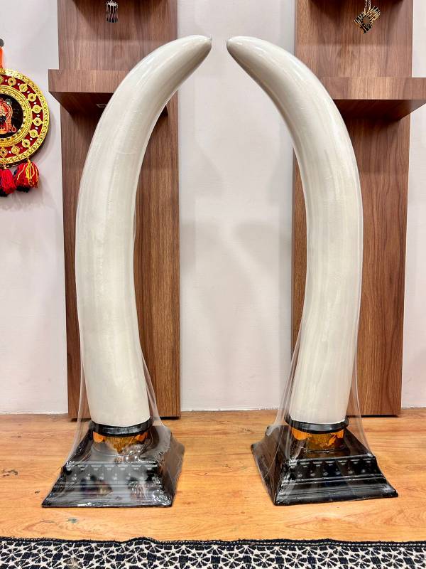 3 feet Fiber Aanakomb (Elephant tusk)