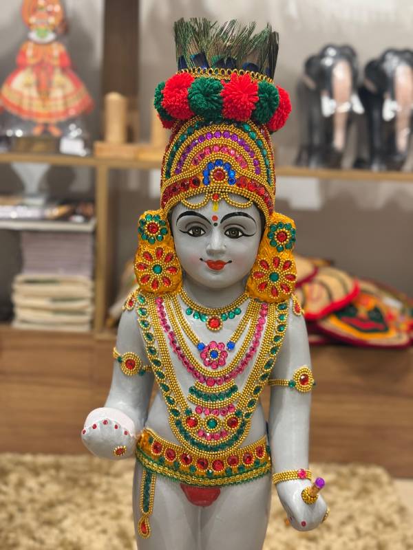 Grey Usha pooja krishna