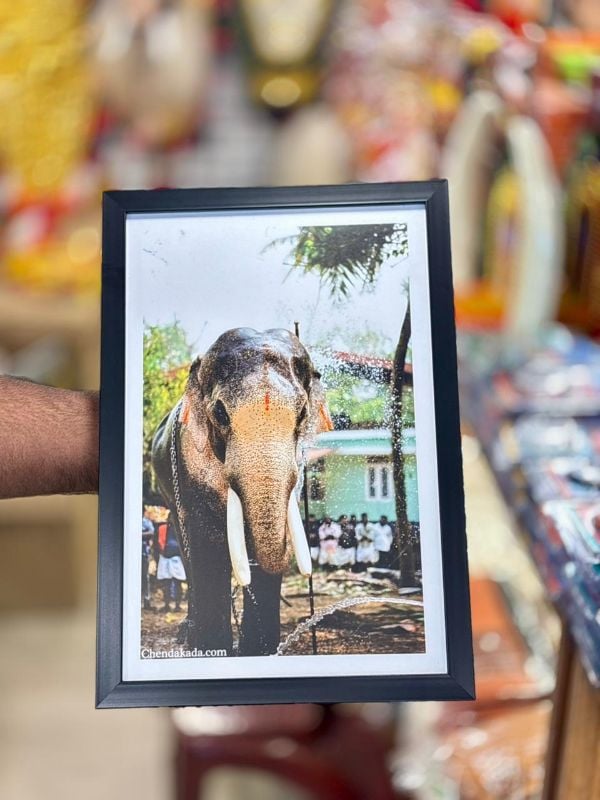 Thechikottukavu Ramachandran Photo frame Model 2