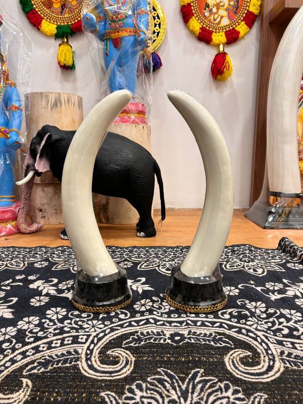 15 inch Fiber Aanakomb (Elephant tusk)