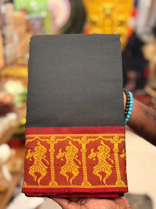 Dance Practice Saree with Thread work model 5