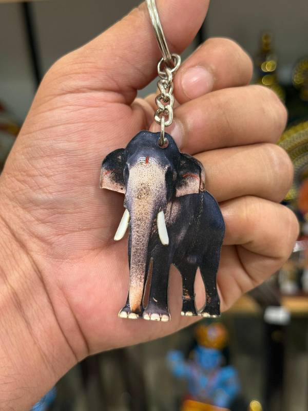 Puthuppally Kesavan Elephant keychain