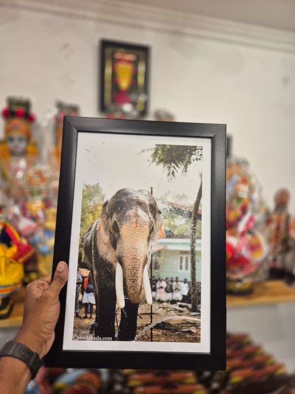 Thechikottukavu Ramachandran Photo Frame Model 1