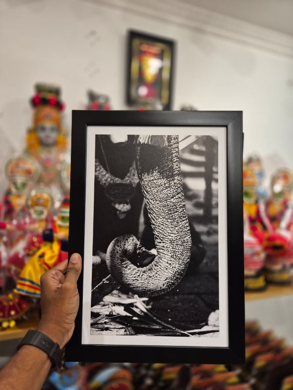 Black and White Thumbi Kai Photo Frame 16 x 11