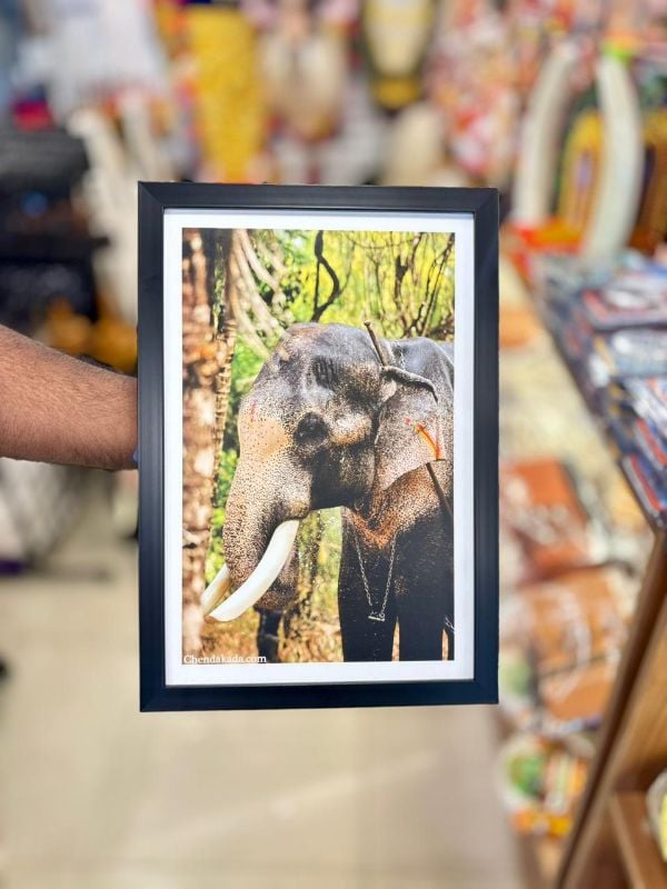 Thechikottukavu Ramachandran Photo frame Model 1