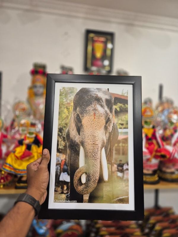 Thechikottukavu Ramachandran Photo Frame Model 3