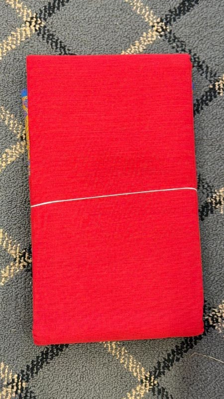 Dance Practice Saree with Thread work model 2