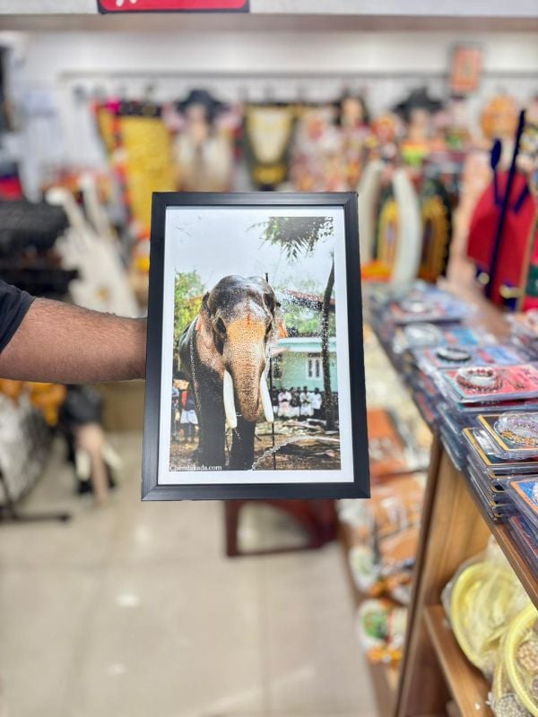 Thechikottukavu Ramachandran Photo frame Model 2
