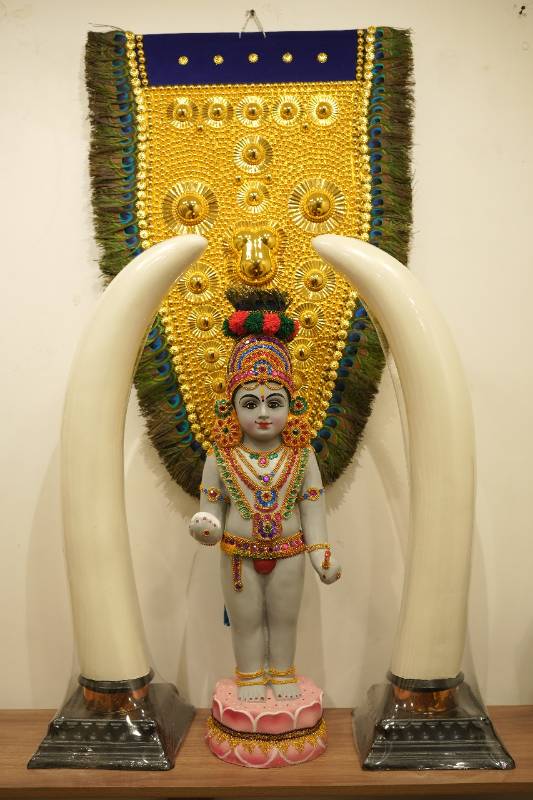 Grey Usha pooja krishnan & Aanakombu Combo (Elephant Tusk)