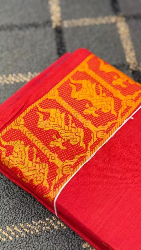 Dance Practice Saree with Thread work model 1