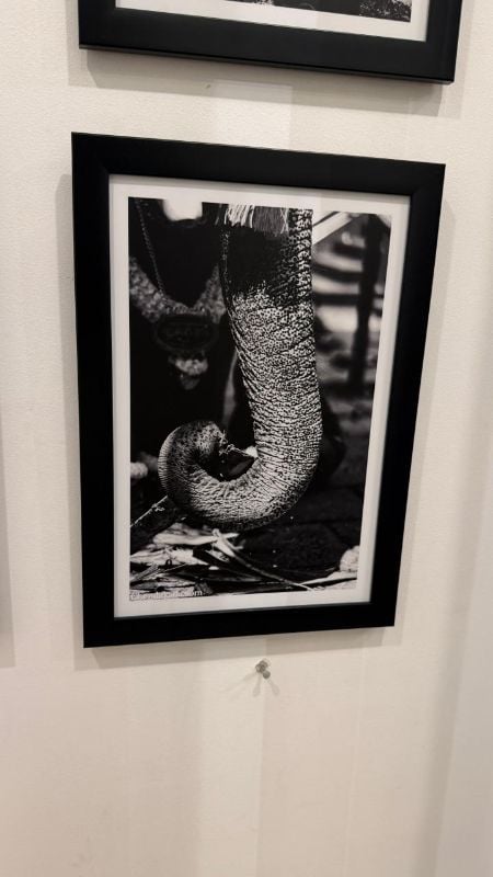 Black and White Thumbi Kai Photo Frame 16 x 11