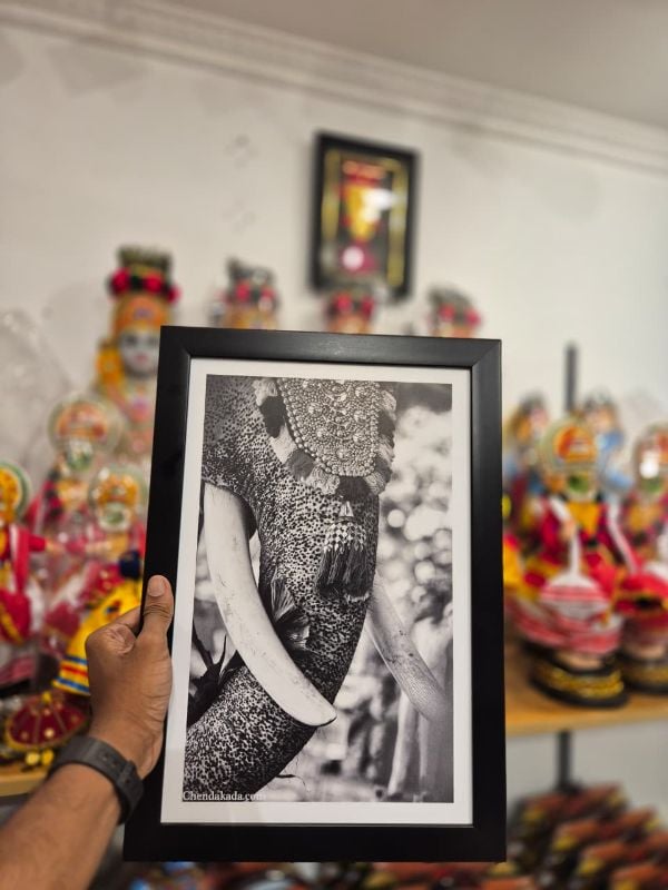 Elephant Tusk With Netipattam  Photo Frame 16 x 11