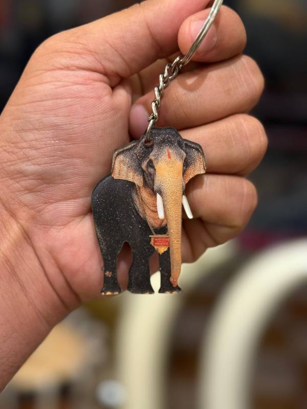 Thechikottukavu Ramachandran Elephant keychain