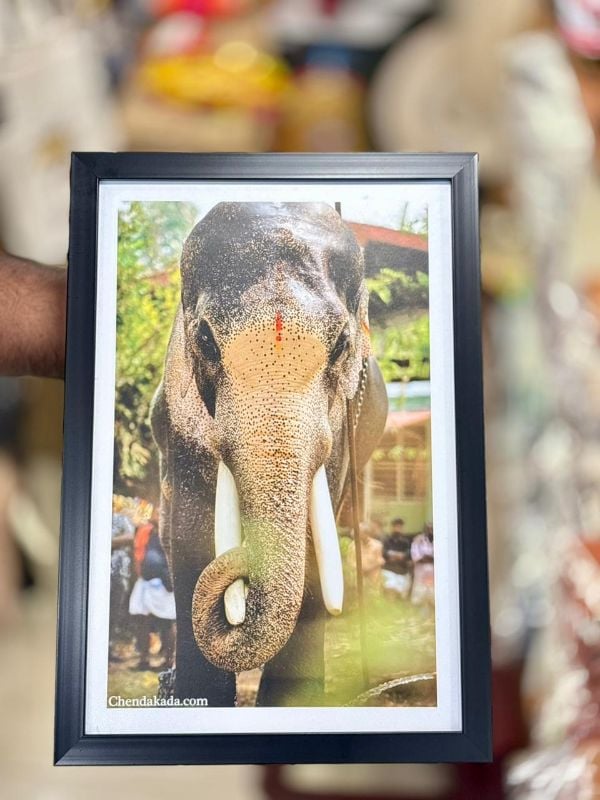 Thechikottukavu Ramachandran Photo frame Model 3